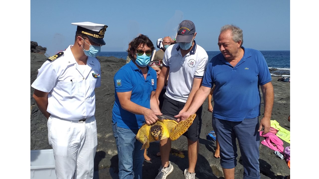 Pantelleria: torna in mare Puck, la tartaruga ferita, curata dal centro di Recupero Tartarughe Marine AMP Isole Egadi