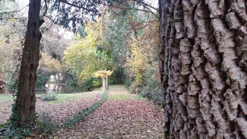 Lo spettacolo del foliage a Parco Bertone