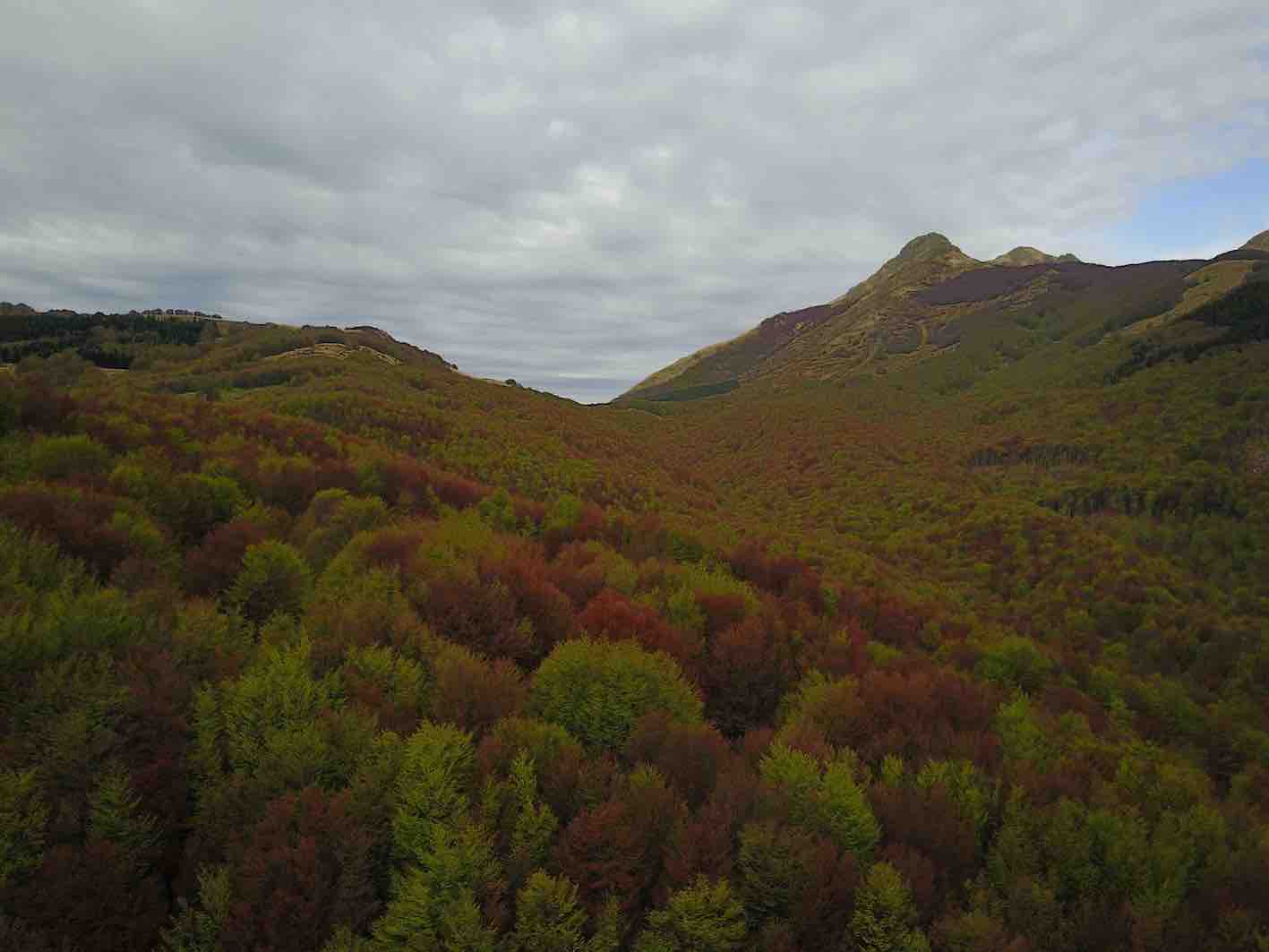 ORIENTARE LA GESTIONE DELLE FORESTE D'APPENNINO VERSO NUOVE RESPONSABILITÀ