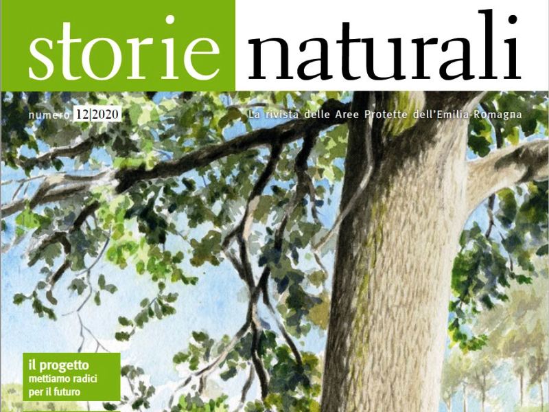Sul nuovo numero della rivista regionale 'Storie Naturali' ampio articolo con le novità sul Paesaggio protetto Collina Reggiana-Terre di Matilde