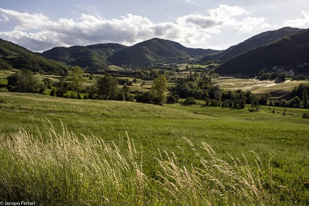 'Area tutelata dei monti Bosso e Sporno': un territorio da proteggere