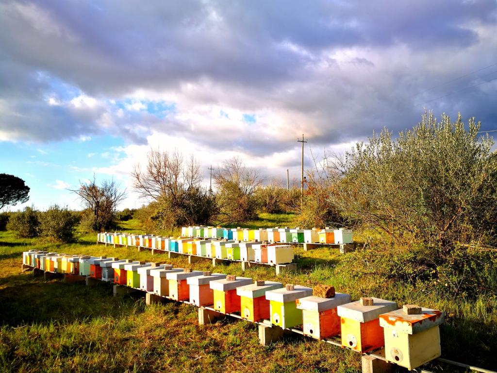 Sottoscritta una convenzione con l'Azienda Agricola di Apicoltura Nectaris per studiare e preservare la natura ed offrire anche un valido strumento per l'educazione ambientale e il rispetto per le api.