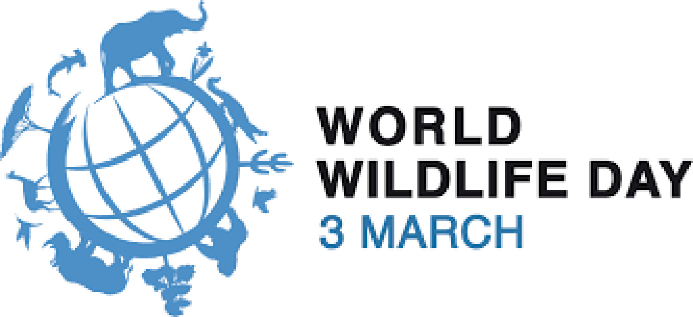 3 Marzo 2021- Giornata mondiale della natura selvatica