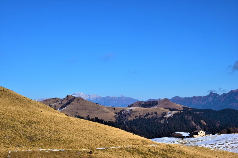 Malga Vacil (Storo) panorama Dolomiti e Cadria (ph. Tommaso Beltrami)