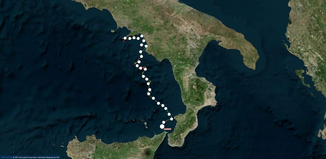 Da Punta Campanella alla Sicilia, il viaggio della​ tartaruga Eleonora