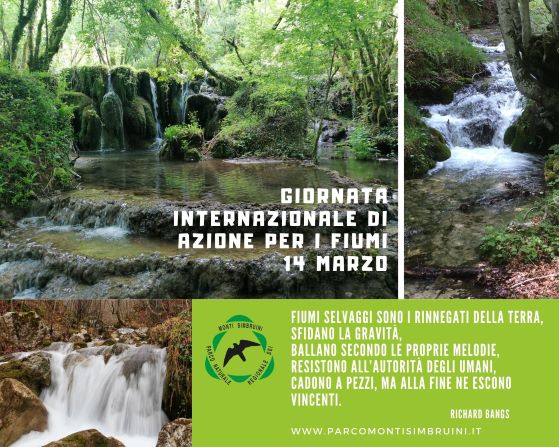 Giornata Internazionale di Azione per i Fiumi 'International Day of Action for Rivers'