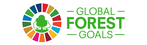21 e 22 marzo: due giornate internazionali stabilite dalle Nazioni Unite per onorare il pianeta verdeblu