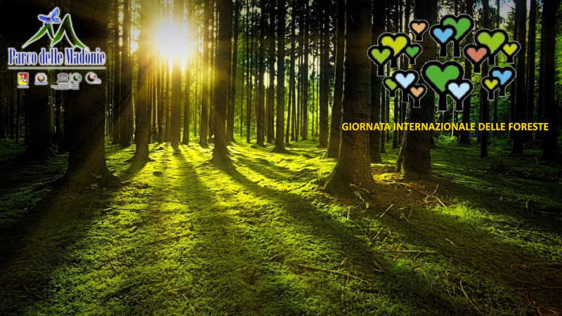 Giornata internazionale delle foreste - messagio del Presidente dell'Ente Parco delle Madonie
