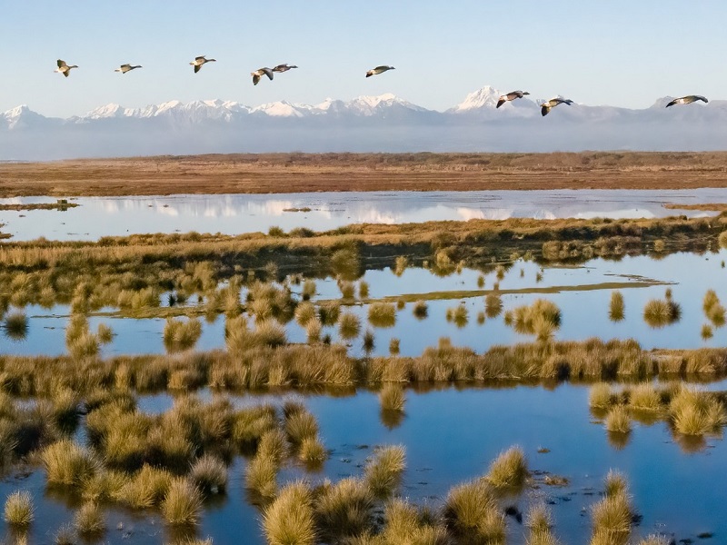 Lago di Massaciuccoli: stanziati dalla Regione 2milioni di euro per la prima serie di interventi ambientali