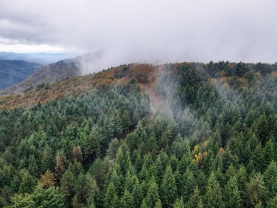 Taglio delle emissioni in Ue, il Parco dell'Appennino soddisfatto: 'Qui un miliardo di alberi'
