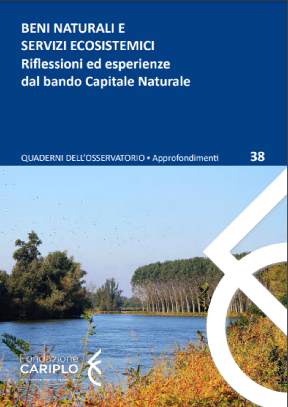 Quaderno n.38 'Beni naturali e Servizi ecosistemici'