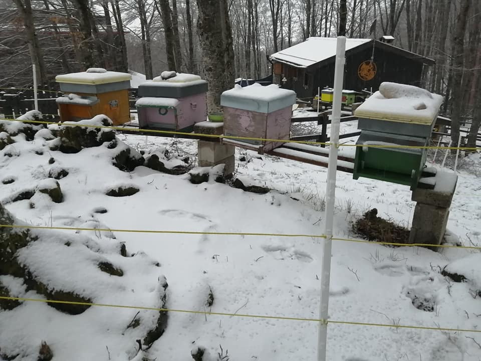 Incontro apicoltori residenti nei Comuni dell'Area Protetta