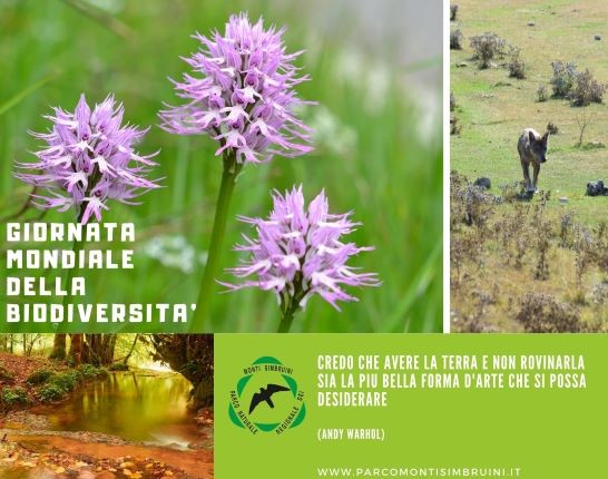 Giornata mondiale della Biodiversità
