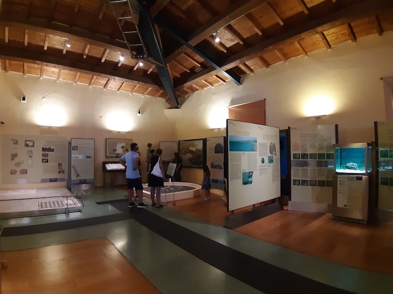 Una nuova settimana all'insegna delle notti dell'archeologia nei parchi e Musei della Val di Cornia