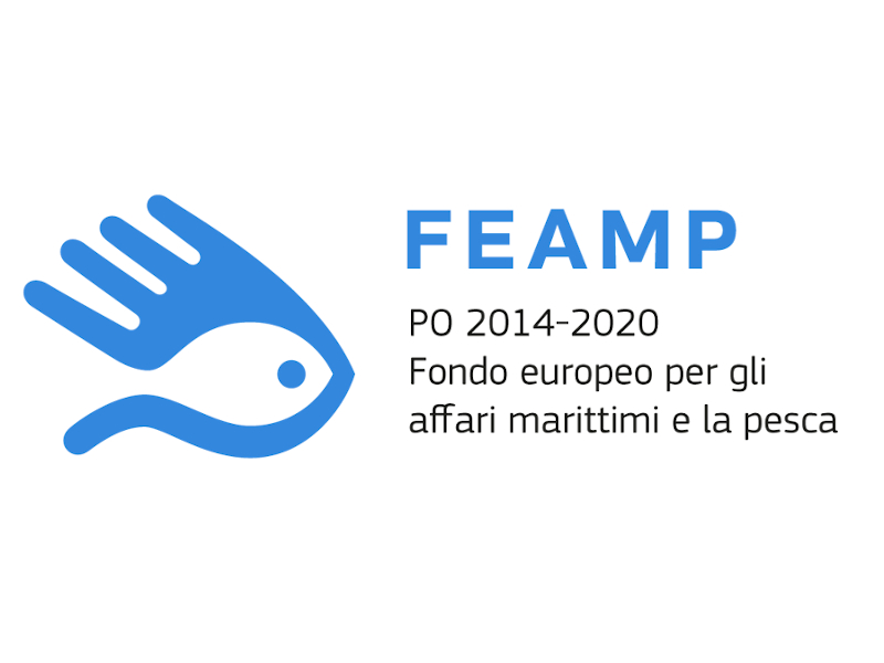 Logo FEAMP