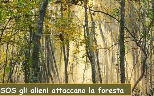 SOS gli alieni attaccano la foresta: sabato 11 dicembre il nuovo appuntamento