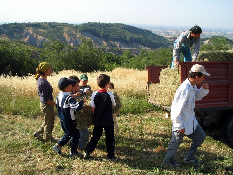 Anno Scolastico 2009/2010: educazione ambientale nei parchi