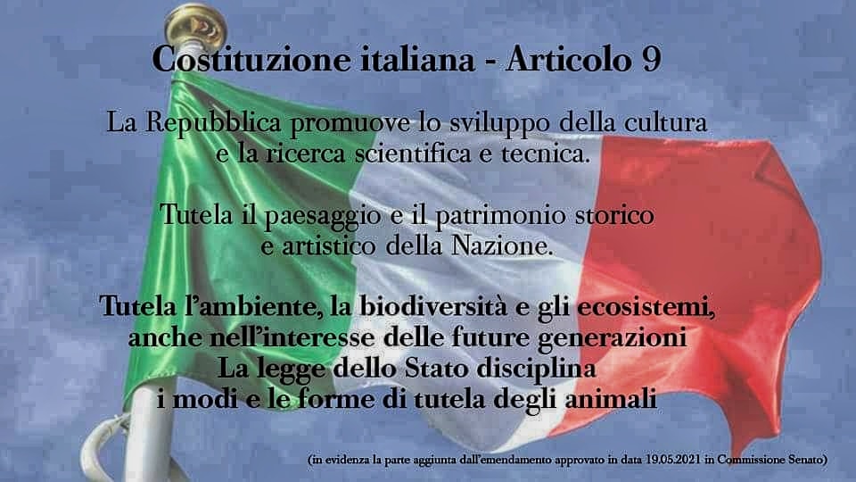 L'articolo 9 della Costituzione italiana introduce la salvaguardia di ambiente, ecosistema e biodiversità tra i principi fondamentali.
