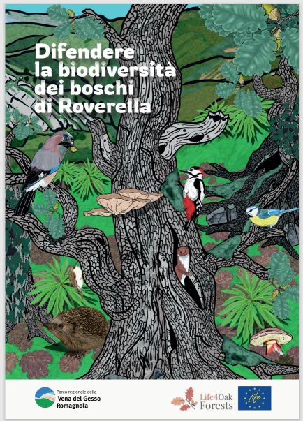Difendiamo i boschi di Roverella!