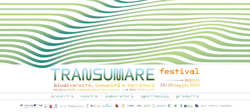 Transumare Festival