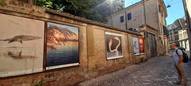 Mostra open air in Via Zirardini a Ravenna