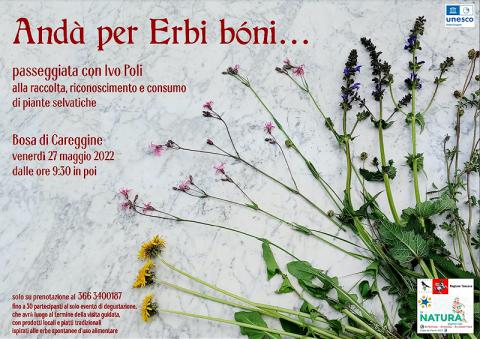 'Andà per Erbi bóni': raccolta, riconoscimento e consumo di piante spontanee a Bosa di Careggine