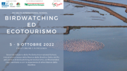 Un ciclo di incontri online e sul territorio per parlare di birdwatching ed ecoturismo nel Delta Del Po