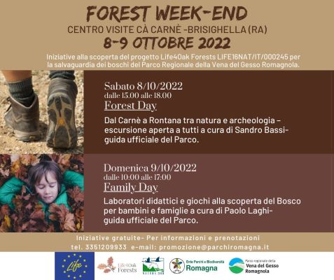 Arrivano il Forest e Family Day! Alla scoperta del progetto europeo Life4OakForests
