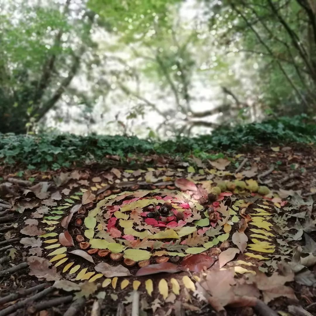 Mandala nel bosco: laboratorio gratuito a Parco Bertone