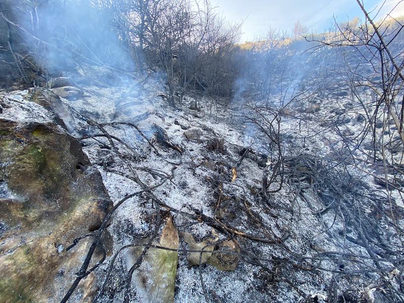 Parco Nazionale Appennino Lucano: I forti venti e la stagione arida favoriscono i primi eventi incendiari della stagione. Massima attenzione da parte dell'Ente