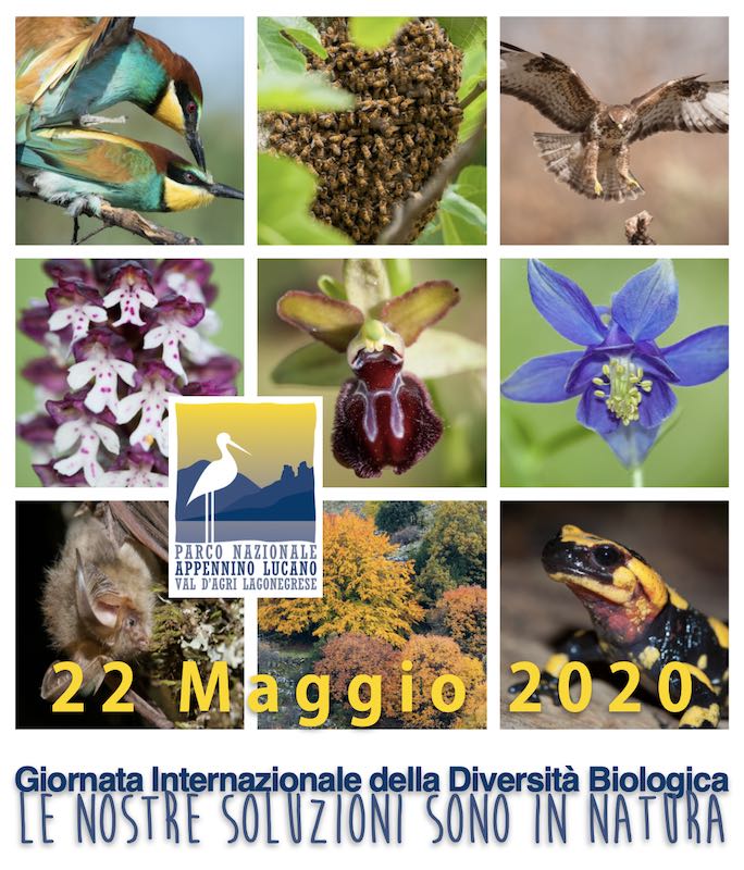 Giornata Internazionale della Diversità Biologica