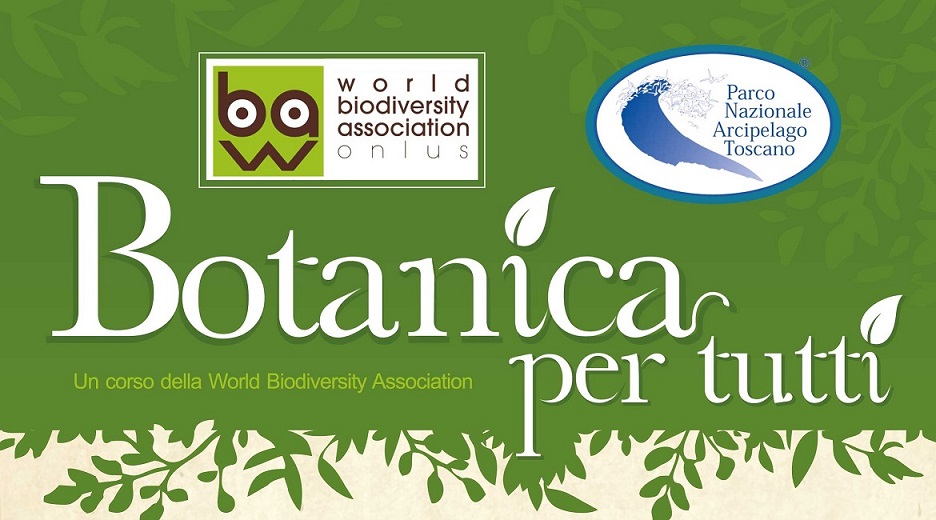 I segreti delle piante con il corso online gratuito 'Botanica per tutti'