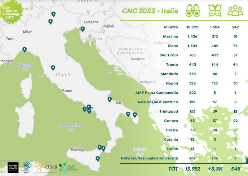 City Nature Challenge sbarca a Procida e Ischia anche nel 2022