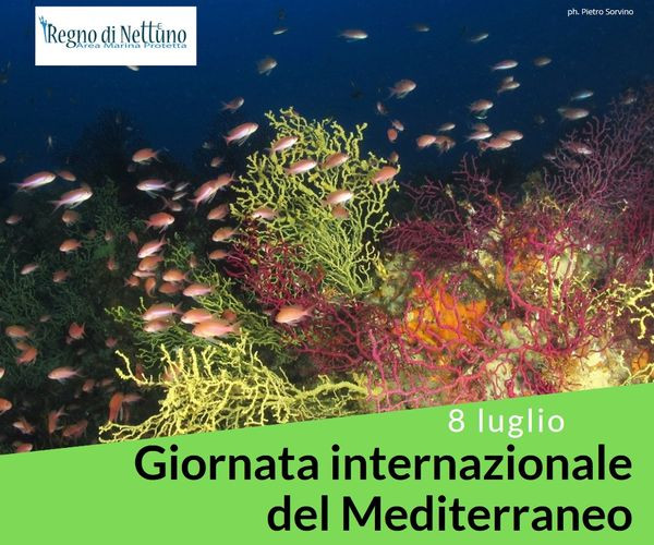 Regno di Nettuno festeggia la Giornata Internazionale del Mar Mediterraneo