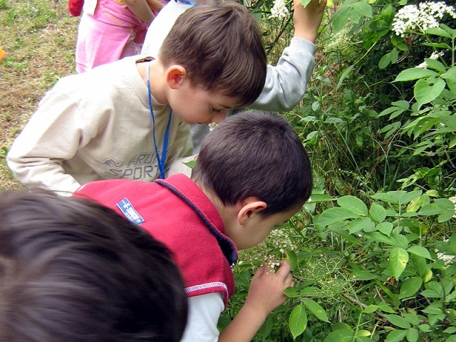 Il giovane naturalista: Il biowatching per bambini