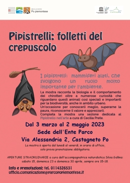 Mostra 'Pipistrelli: folletti del crepuscolo' a Castagneto Po