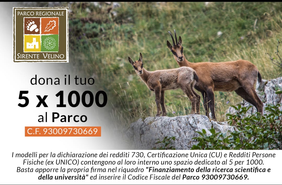 Un sostegno a costo zero per le attività di tutela e ricerca del Parco naturale regionale Sirente Velino: dona il tuo 5 x 1000!