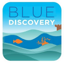 Blue Discovery