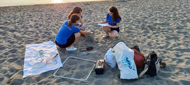 Aiutaci a cercare nidi di Caretta Caretta sulle spiagge di Ischia!