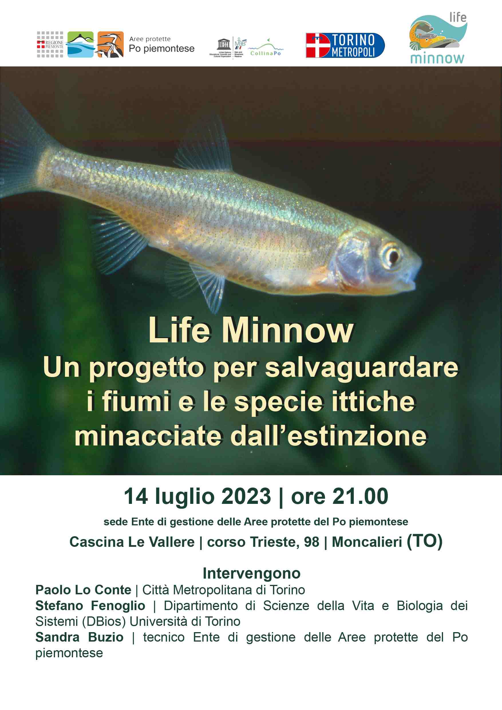 Life Minnow | Un progetto per salvaguardare i fiumi e le specie ittiche minacciate dall'estinzione