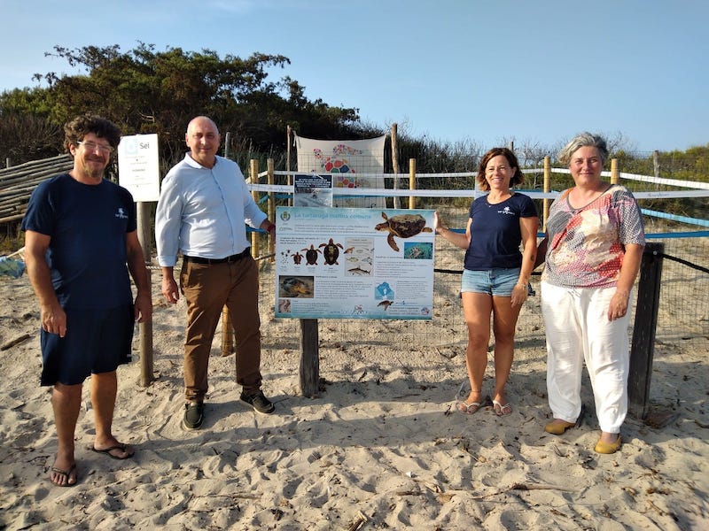 Proseguono monitoraggio e attività di controllo sulle uova del nido di tartaruga sulla duna in località il Pino (Parco costiero della Sterpaia)