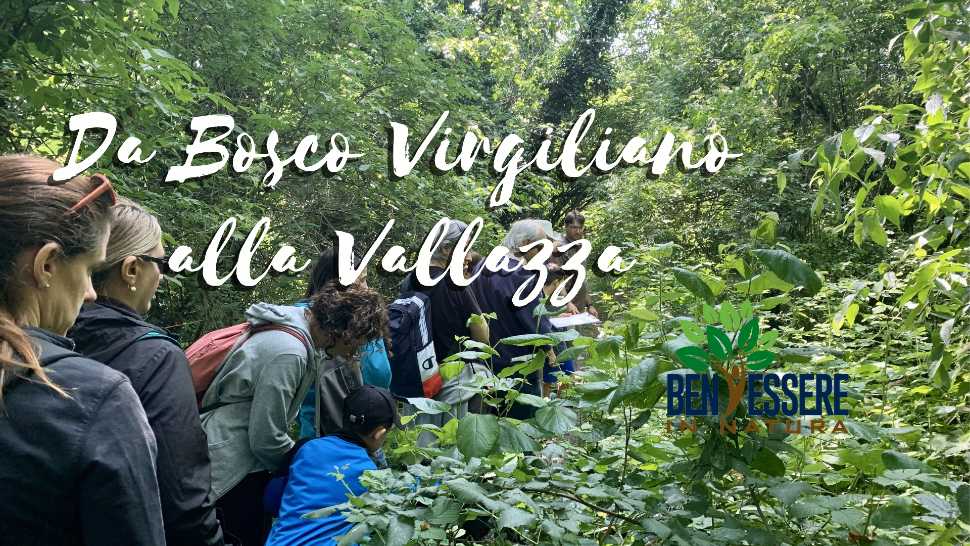 Escursione naturalistica in Vallazza