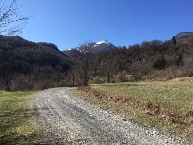 Bo.. scoperta! Escursione per ragazzi nei boschi dell'alta Val Parma