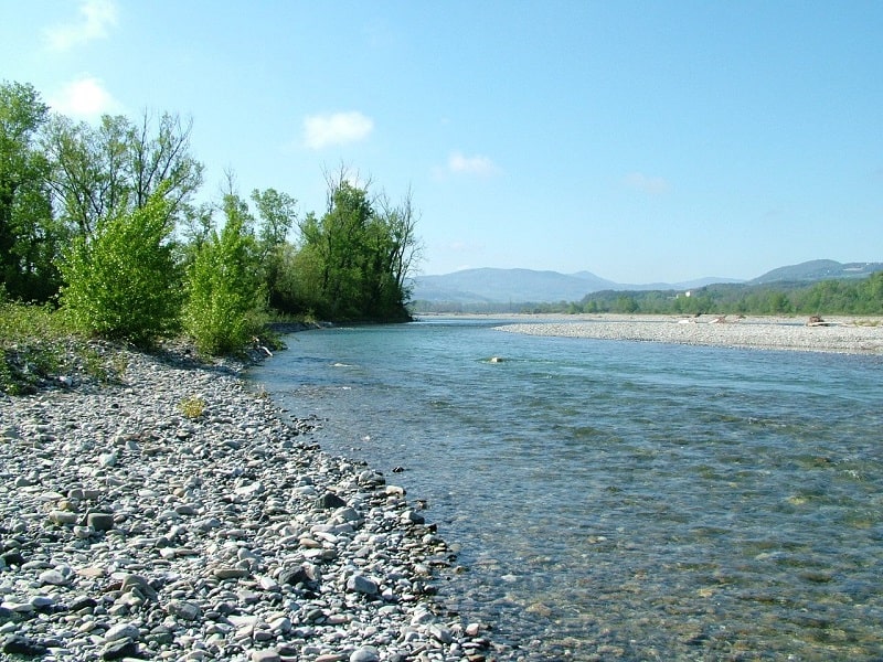 Scopriamo la biodiversità del fiume Trebbia