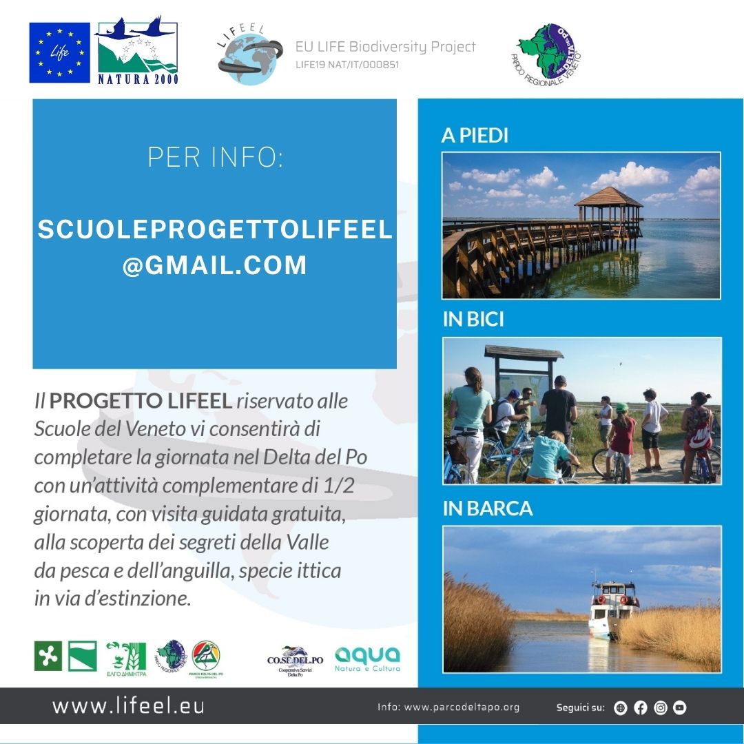 Visite guidate GRATUITE nel Delta del Po per le scuole del Veneto con i progetti LIFFEL e LIFE TRANSFER!!
