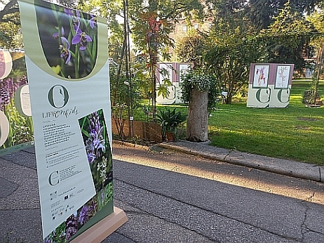 L'appuntamento finale di LIFEorchids all'Orto Botanico di Torino (Foto di Laura Succi)