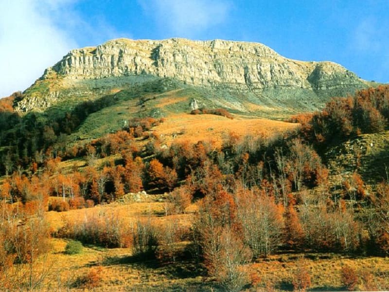Foliage autunnale sul monte Navert con Camminaparchi