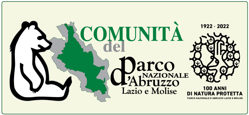 PROGETTO ENEL 'PIZZONE II': DETERMINAZIONI DELLA COMUNITÀ DEL PARCO