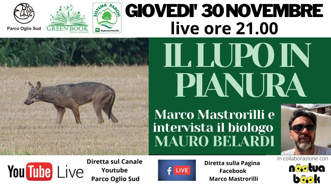 Il lupo in pianura, Marco Mastrorilli intervista Mauro Belardi