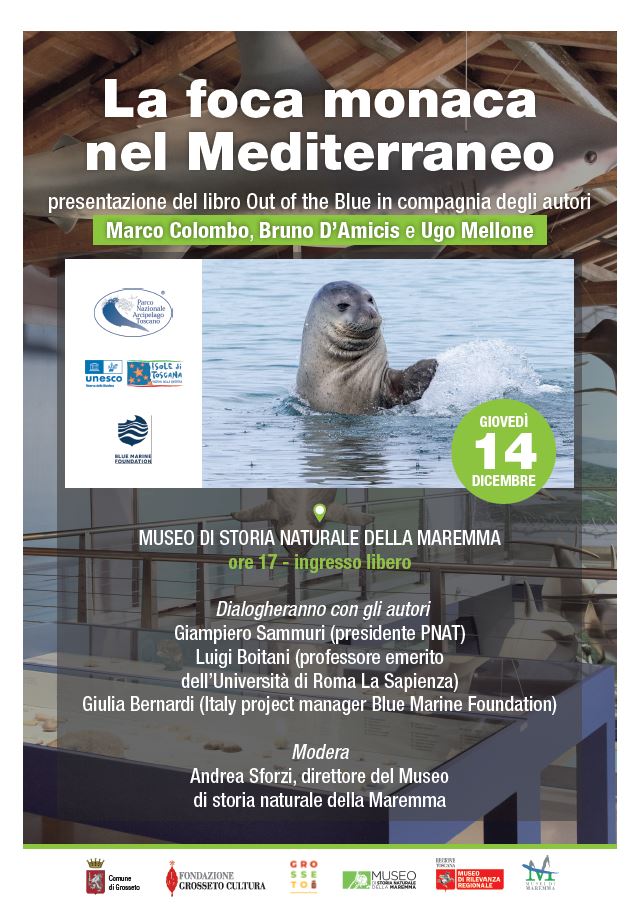 Tre fotografi alla ricerca della foca monaca nel Mar Mediterraneo